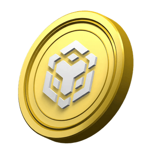 Seção informativa da plataforma com moeda decorativa da BNB